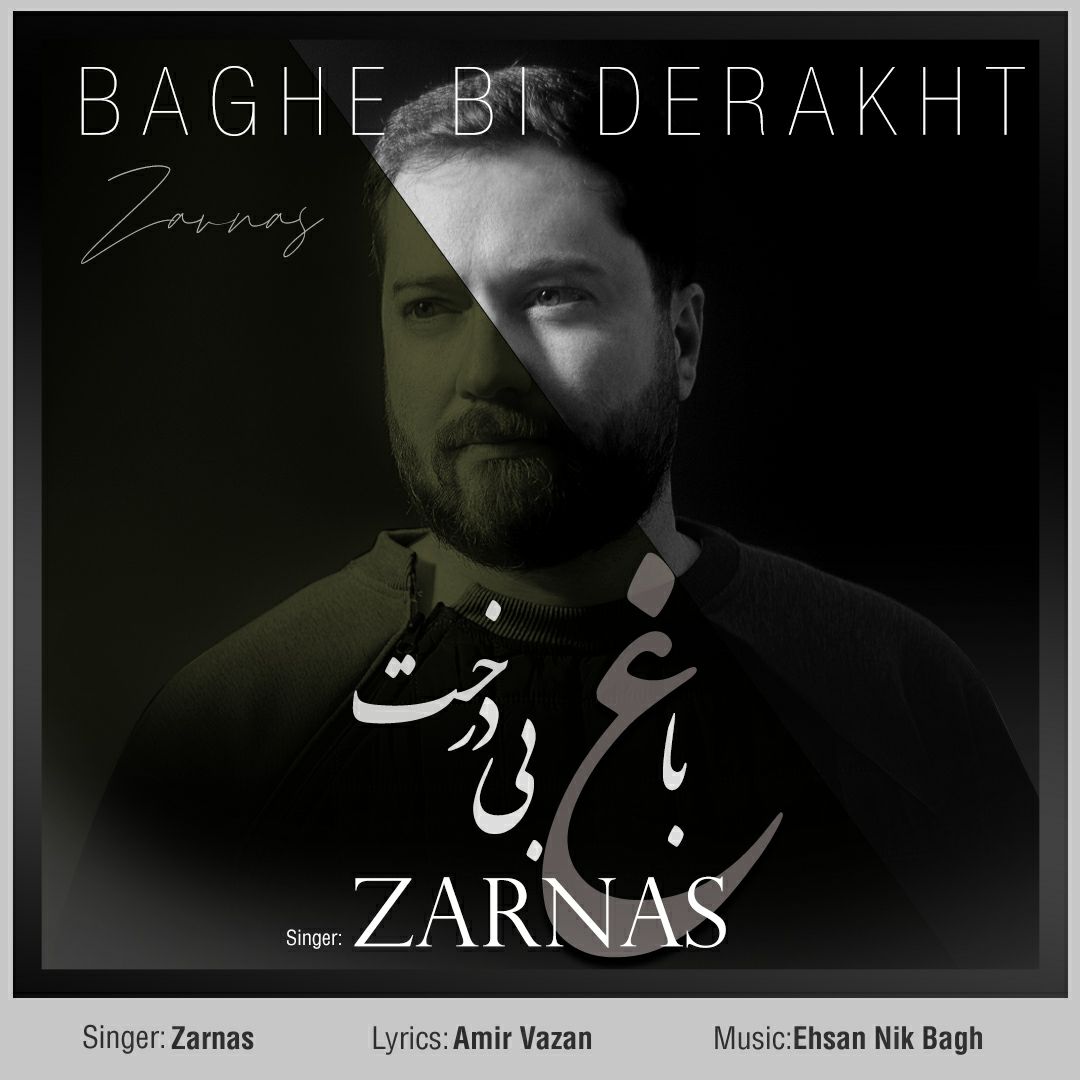 دانلود آهنگ زرناس باغ بی درخت